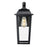 Millennium Houston 17" High 1Lt Outdoor Wall Lantern, Black/Clear