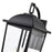 Millennium Houston 24" High 3Lt Outdoor Wall Lantern, Black/Clear