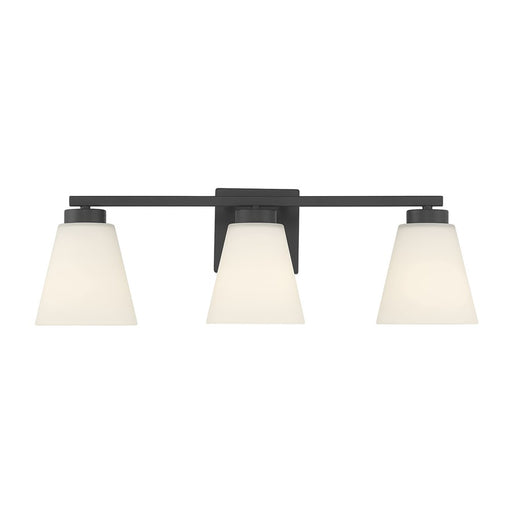 Millennium Strayhan 3Lt Bathroom Vanity Light, Black/White Frosted