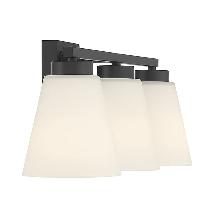 Millennium Strayhan 3Lt Bathroom Vanity Light, Black/White Frosted