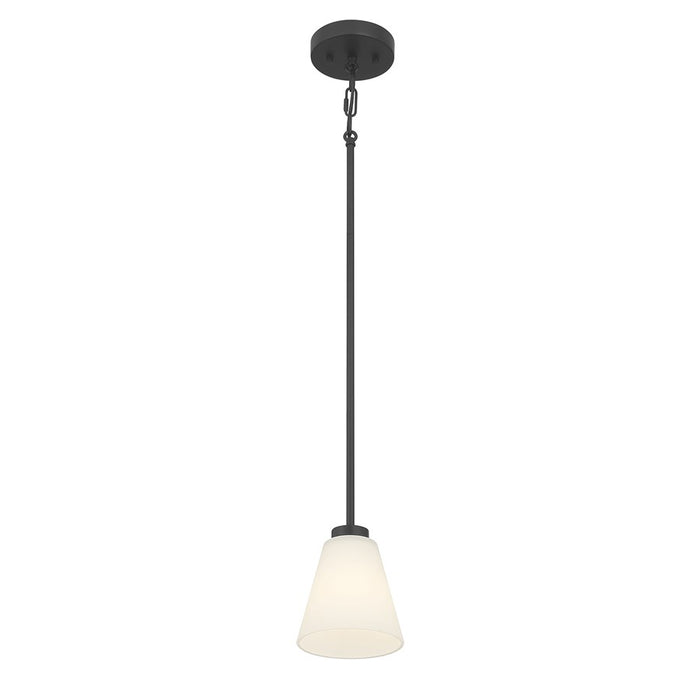 Millennium Strayhan 1Lt Pendant, Black/White Frosted - 64101WG-MB