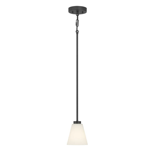 Millennium Strayhan 1Lt Pendant, Black/White Frosted