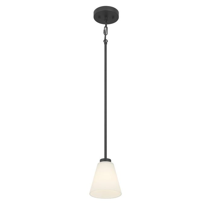 Millennium Strayhan 1Lt Pendant, Black/White Frosted