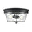 Millennium Lighting Strayhan 13" 2Lt Flush Mount, Matte Black/Clear