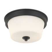 Millennium Lighting Strayhan 2Lt Flush Mount, Black/White Frosted - 64102WG-MB