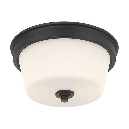 Millennium Lighting Strayhan 2Lt Flush Mount, Black/White Frosted - 64102WG-MB