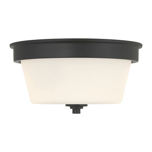 Millennium Lighting Strayhan 2Lt Flush Mount, Black/White Frosted