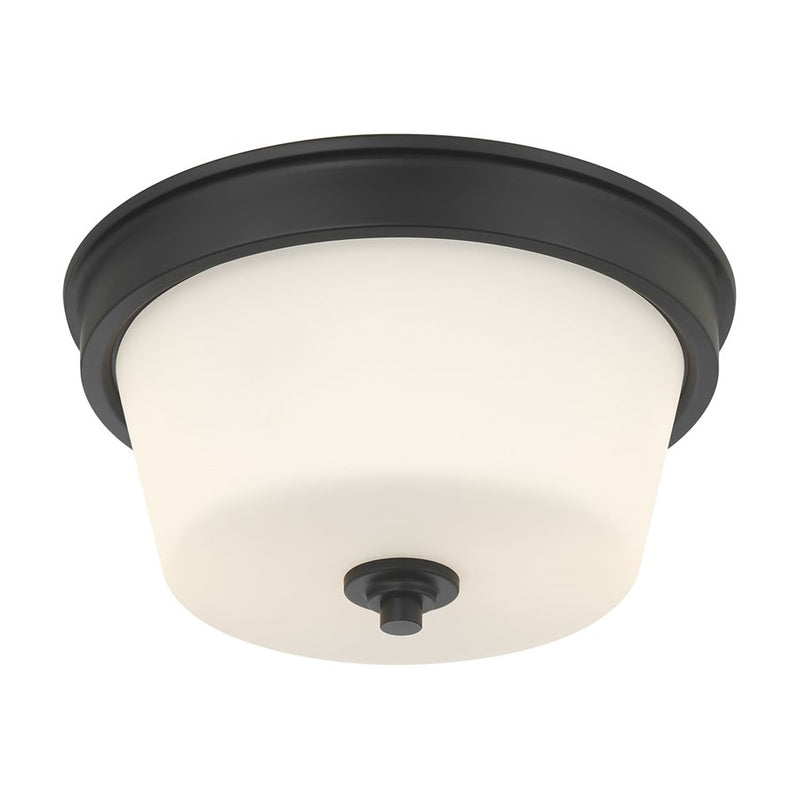 Millennium Lighting Strayhan 2Lt Flush Mount, Black/White Frosted