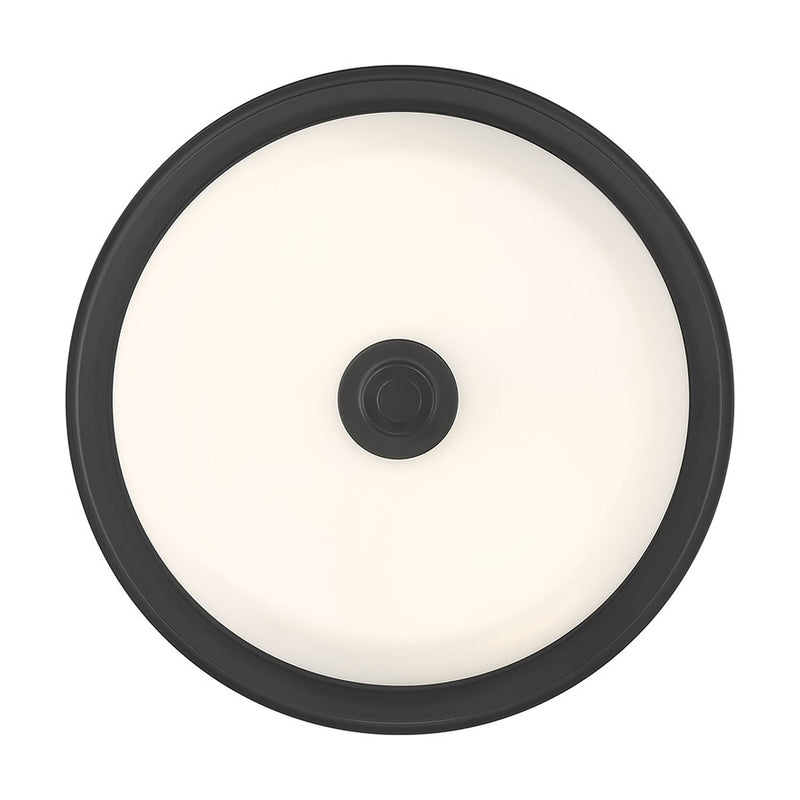 Millennium Lighting Strayhan 2Lt Flush Mount, Black/White Frosted