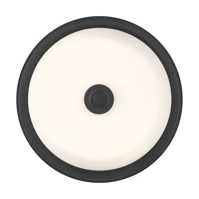 Millennium Lighting Strayhan 2Lt Flush Mount, Black/White Frosted