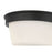 Millennium Lighting Strayhan 2Lt Flush Mount, Black/White Frosted