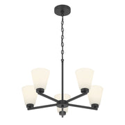 Millennium Strayhan 5Lt Chandelier, Black/White Frosted - 64105WG-MB