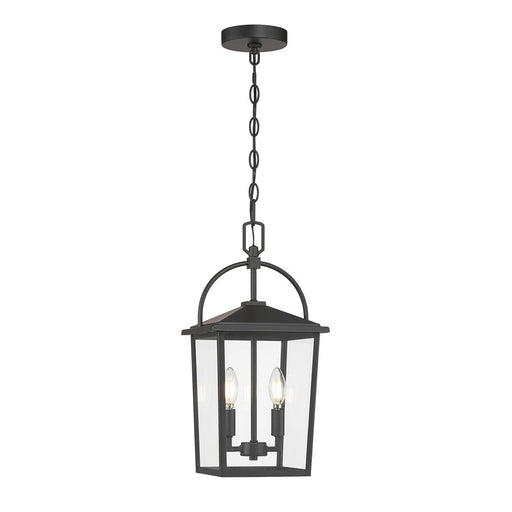 Millennium Lighting Strathden 2Lt Outdoor Pendant, Coated Black - 66402-PBK