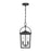 Millennium Lighting Strathden 2Lt Outdoor Pendant, Coated Black