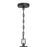 Millennium Lighting Strathden 2Lt Outdoor Pendant, Coated Black