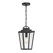 Millennium Lighting Brenwick 1Lt Outdoor Pendant, Coated Black - 68301-PBK