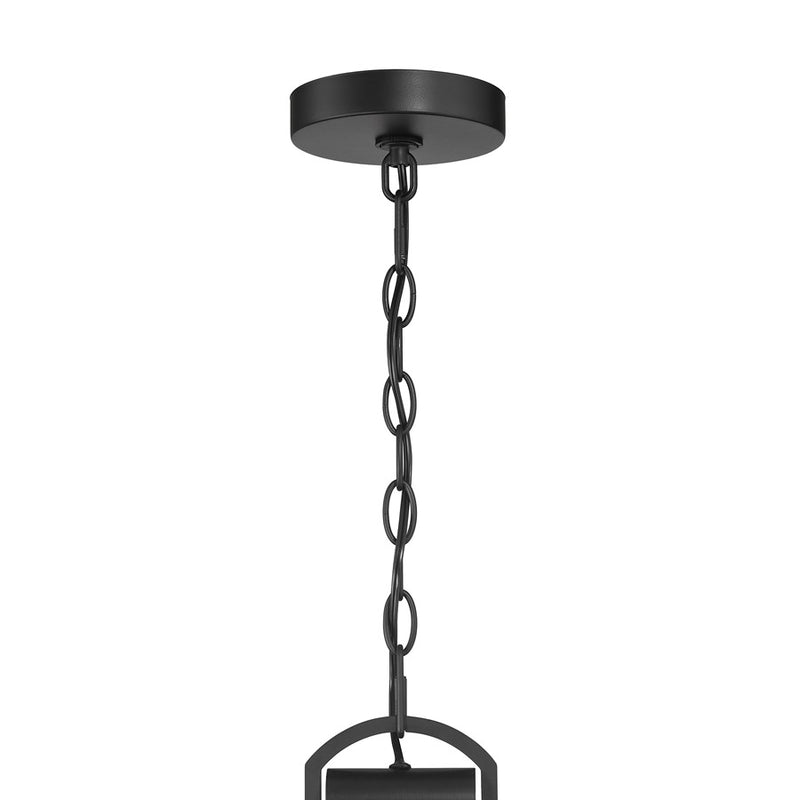 Millennium Lighting Brenwick 1Lt Outdoor Pendant, Coated Black