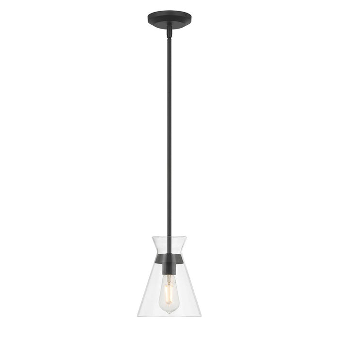 Millennium Lighting Amarella 1 Light 9" Pendant, Matte Black/Clear - 69001-MB