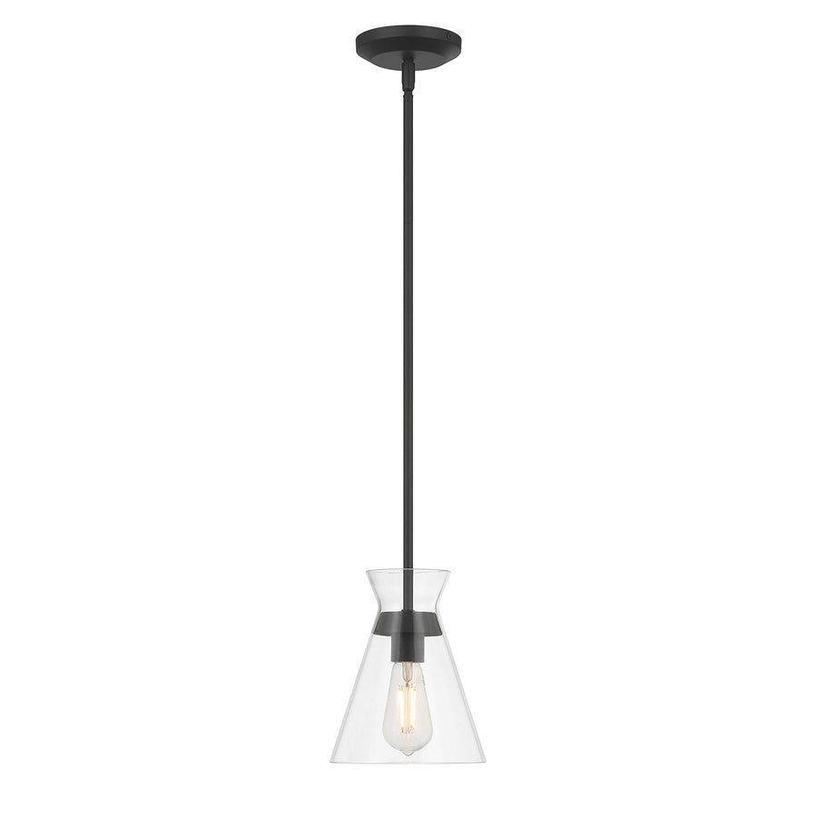 Millennium Lighting Amarella 1 Light 9" Pendant, Matte Black/Clear - 69001-MB