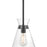 Millennium Lighting Amarella 1 Light 9" Pendant, Matte Black/Clear