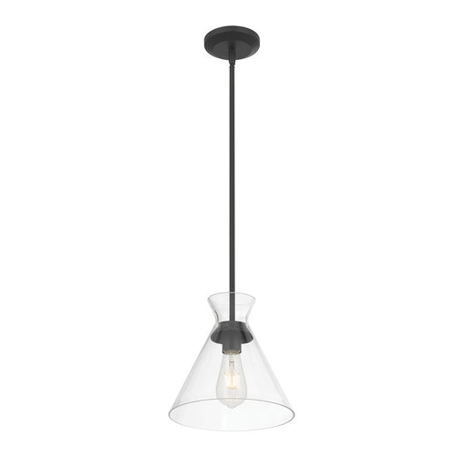 Millennium Lighting Amarella 1 Light 10" Pendant, Matte Black/Clear - 69101-MB