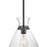Millennium Lighting Amarella 1 Light 10" Pendant, Matte Black/Clear