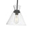 Millennium Lighting Amarella 1 Light 10" Pendant, Matte Black/Clear