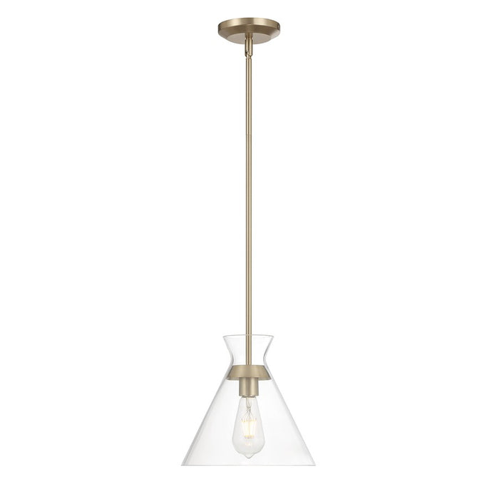 Millennium Lighting Amarella 1 Light 10" Pendant, Modern Gold/Clear