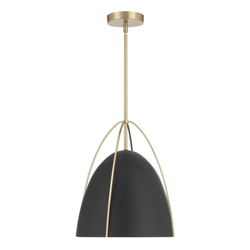 Millennium Lighting Pomelle 1 Light Pendant, Matte Black