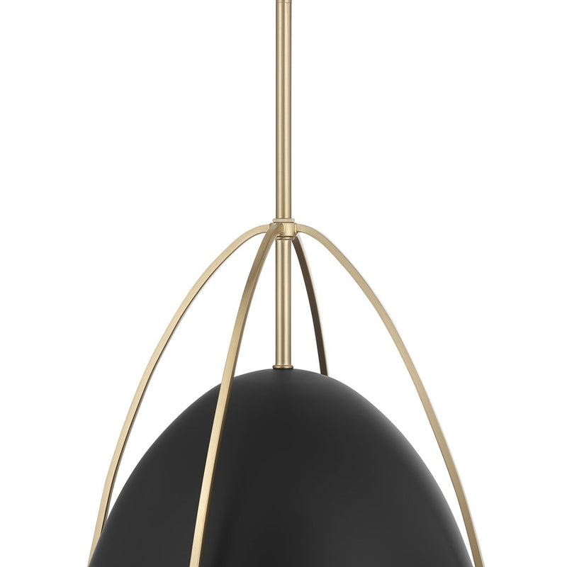 Millennium Lighting Pomelle 1 Light Pendant, Matte Black