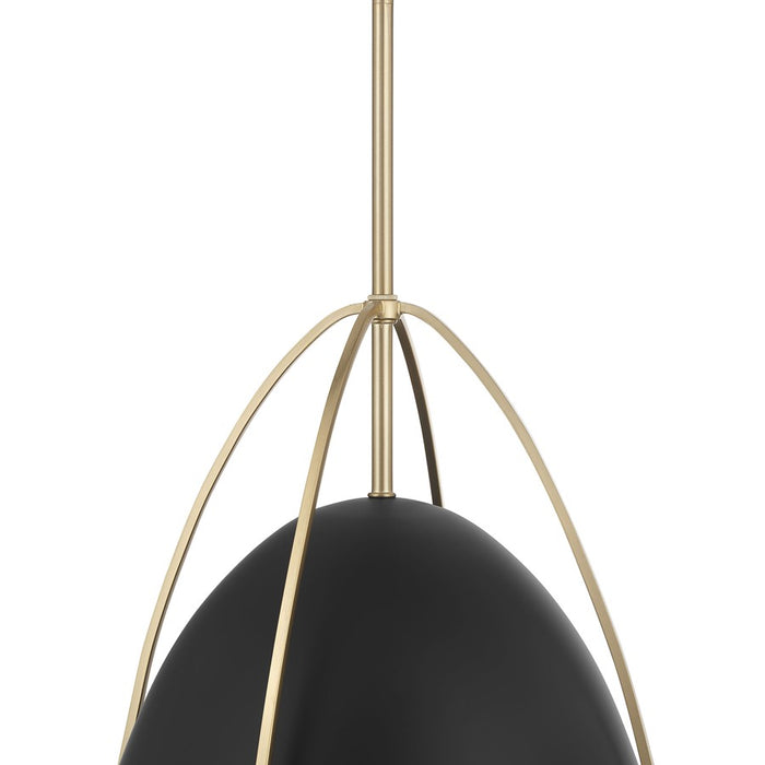 Millennium Lighting Pomelle 1 Light Pendant, Matte Black