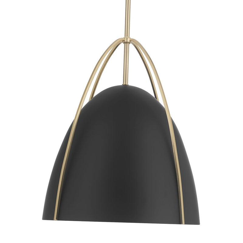 Millennium Lighting Pomelle 1 Light Pendant, Matte Black