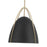 Millennium Lighting Pomelle 1 Light Pendant, Matte Black