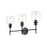 Millennium Lighting Asheville Vanity Light