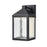 Millennium Lighting Aaron 12" Outdoor Wall Sconce, Black/Clear