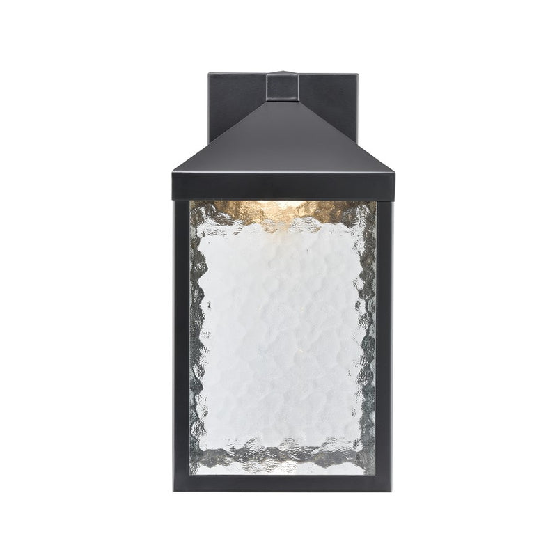 Millennium Lighting Aaron 15" Outdoor Wall Sconce, Black/Clear - 72101-PBK