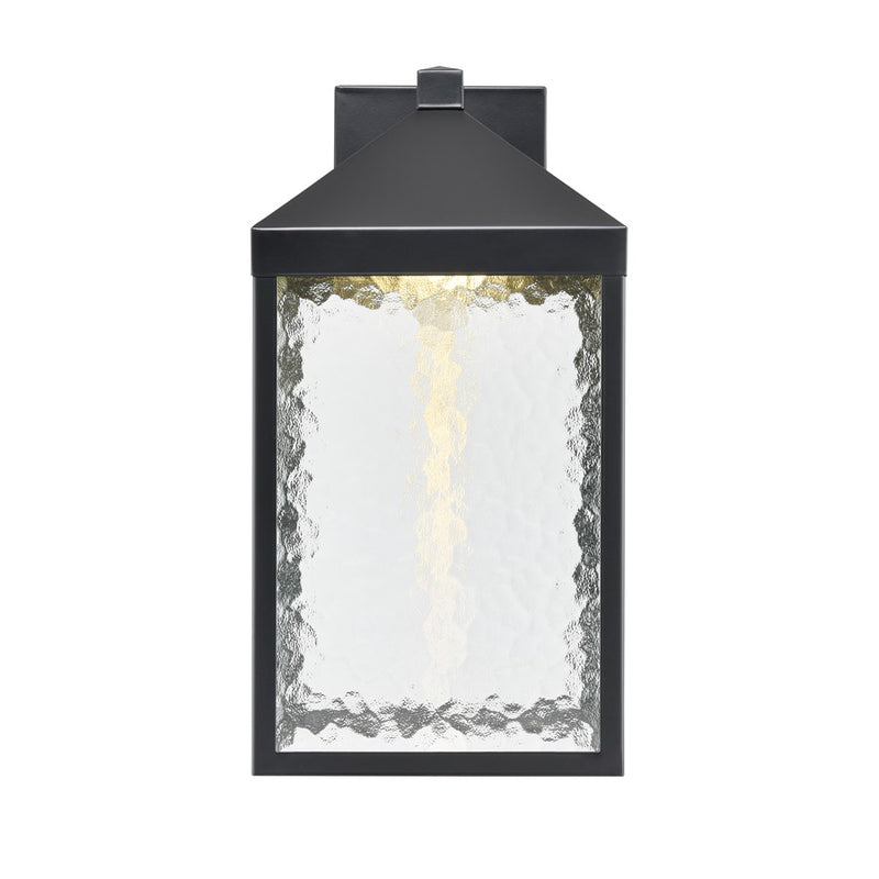 Millennium Lighting Aaron 18" Outdoor Wall Sconce, Black/Clear - 72201-PBK