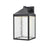 Millennium Lighting Aaron 18" Outdoor Wall Sconce, Black/Clear