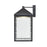 Millennium Lighting Aaron 18" Outdoor Wall Sconce, Black/Clear