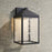 Millennium Lighting Aaron 18" Outdoor Wall Sconce, Black/Clear