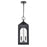 Millennium Lighting Bratton 2Lt Outdoor Pendant, Coated Black/Clear - 7832-PBK