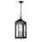 Millennium Lighting Bratton 2Lt Outdoor Pendant, Coated Black/Clear