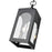 Millennium Lighting Bratton 2Lt Outdoor Pendant, Coated Black/Clear