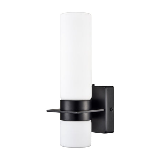 Millennium Selectable 13" LED Outdoor Wall Sconce, Black/White