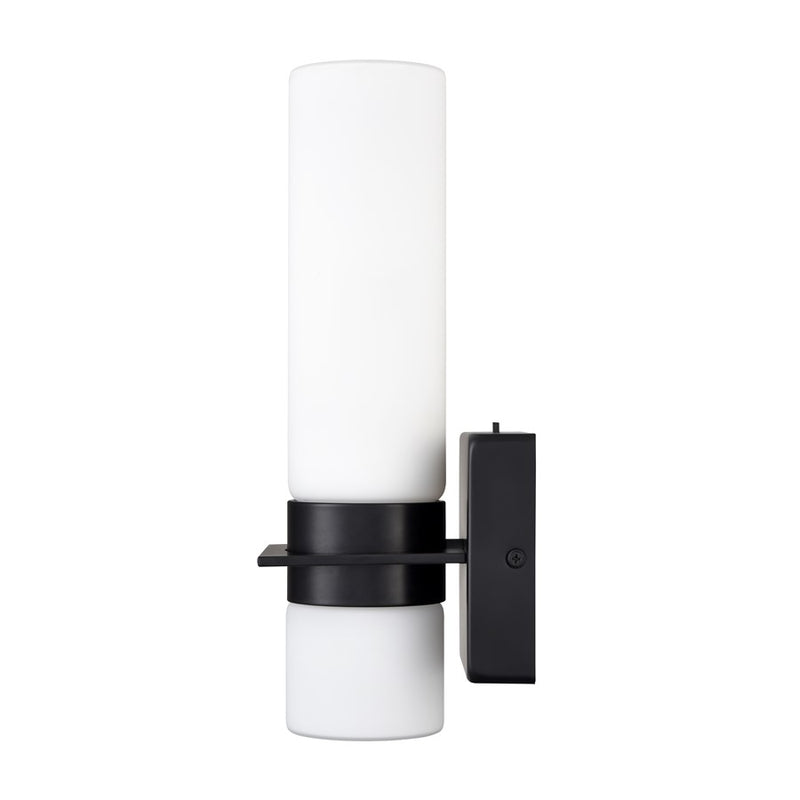 Millennium Selectable 13" LED Outdoor Wall Sconce, Black/White