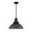 Millennium Lighting Adda Outdoor Hanging Lantern, Black - 81103-PBK