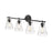 Millennium Lighting Aliza 4 Light Bathroom Vanity Light, Matte Black