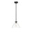Millennium Lighting Aliza 1Lt Pendant, Black - 8141-MB