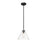 Millennium Lighting Aliza 1Lt Pendant, Black
