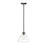Millennium Lighting Aliza 1Lt Pendant, Black